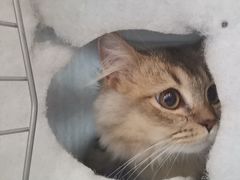-美联众合动物医院·24h京西诊疗中心