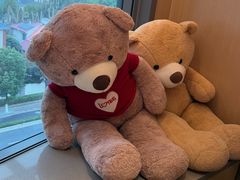 -海底捞火锅(莘松路店)