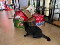 -南蚝小贝海鲜特色餐厅(南澳岛店)