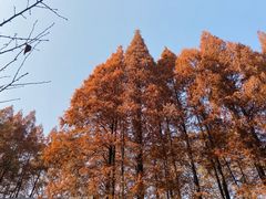 -南京航空航天大学(明故宫校区)