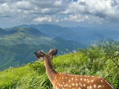 -萍乡武功山风景名胜区
