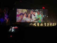 -枫花园汽车电影院(朝阳公园店)