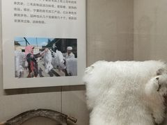 -宁夏博物馆