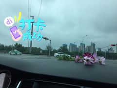 -九江市博物馆
