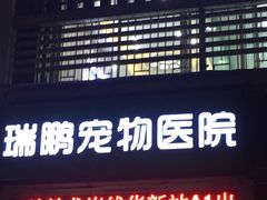-瑞鹏宠物医院华南总院·夜诊·心脏科·骨科