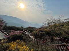 -广州市石门国家森林公园