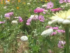 -沕沕水生态风景区