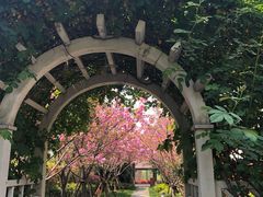 -梅林春晓花园餐厅