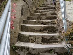 -南山植物园