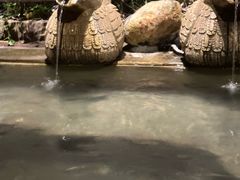 -厦门日月谷温泉渡假村