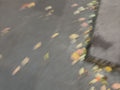 -鲍师傅糕点(江苏路店)