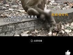-昆明动物园