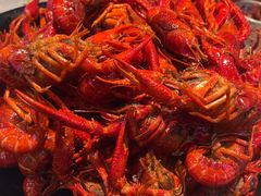 -张记虾尾·火锅·烧烤·大排档(涉外店)