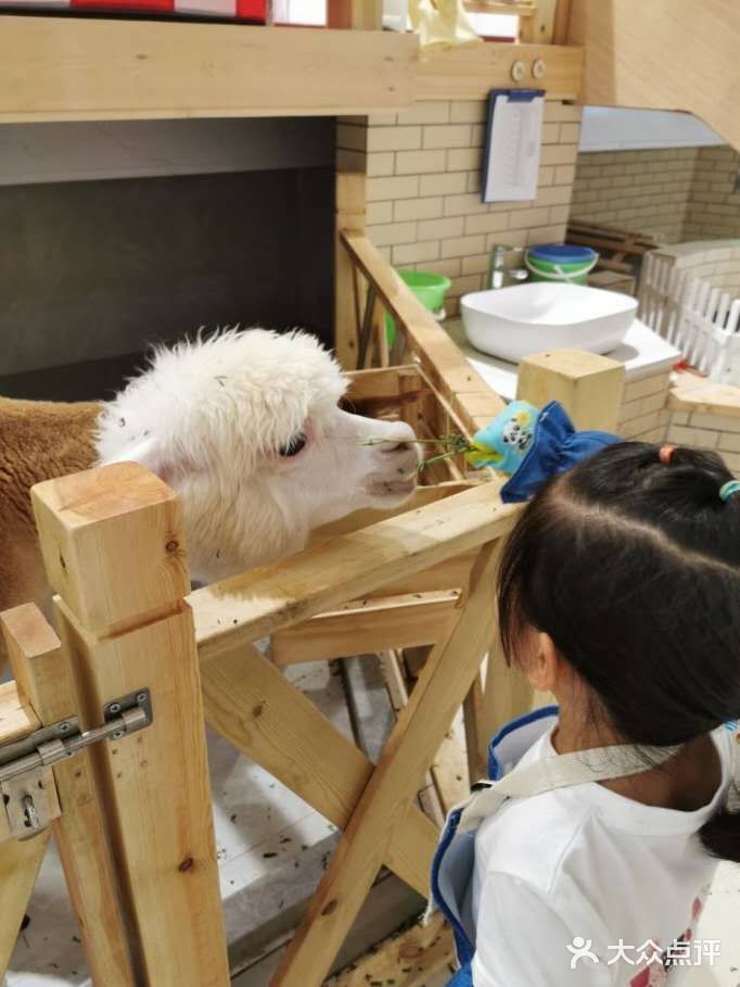 宠物乐园增长知识点[吐]