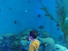 -波塞冬旅游度假区