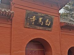 -洛阳白马寺