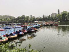 -枫香湖儿童公园
