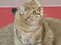 -天虹购物中心(深圳龙华店)