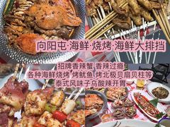 -日照海滨国家森林公园