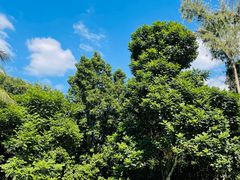 -海南热带野生动植物园