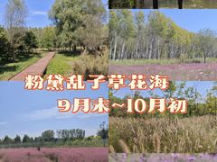 -东郊湿地公园