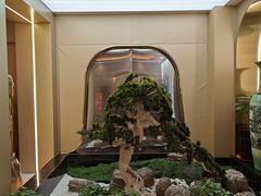 -普天和酒楼(天津之眼店)