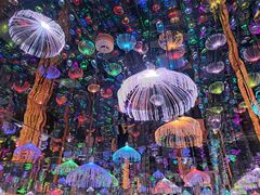-深圳独角兽星空艺术馆