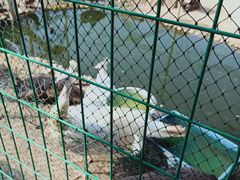 -武汉紫薇都市田园