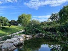 -北京西山国家森林公园