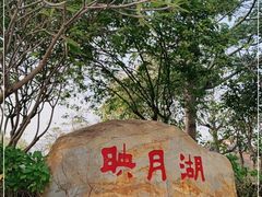 -映月湖公园