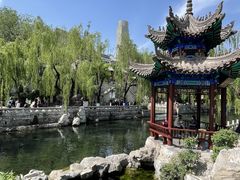 -环城公园