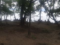 -洱海月湿地公园