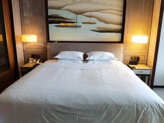 -上海嘉定喜来登酒店