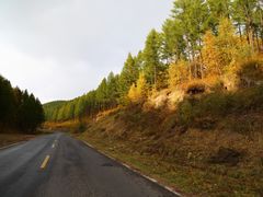 -塞罕坝国家级自然保护区