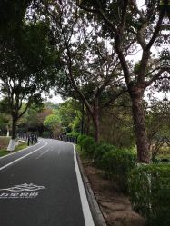 -佛灵湖水上乐园