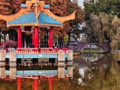 -金砂公园