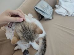 -怪兽屋·羊驼·猫咖·狗咖(俊华广场店)