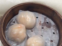 -半岛渔港 • 阿翁火锅馆(将军澳广场店)