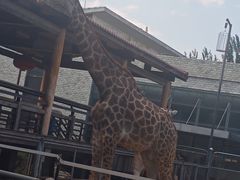 -石家庄市动物园