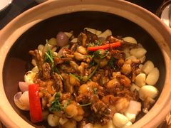 啫啫牛蛙煲-鹊玥·粤菜小馆(汇智国际商业中心店)
