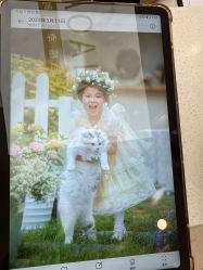 -小阿福儿童摄影(华中智谷店)