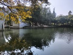 -荔枝公园(福田区)