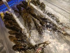 -诱货海鲜自助火锅(爱琴海购物公园东百店)