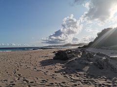 -奥利弗·雷金纳德·坦博国际机场