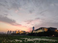 -月湖风景区