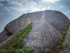 -洋山深水港