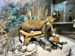 -陕西自然博物馆