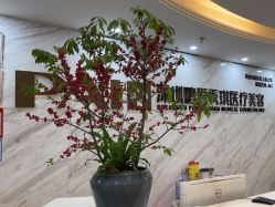 点击看大图 -深圳鹏爱秀琪医疗美容医院