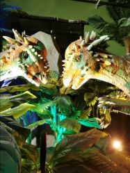 -恐龙探索乐园(磁器口店)