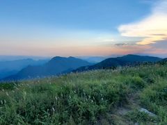 -白草畔自然风景区